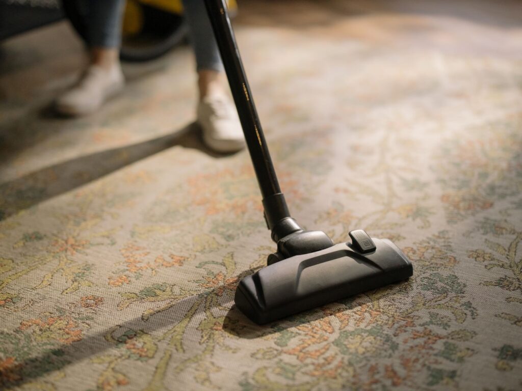 Fresh clean carpeted floor in a well-maintained interior space